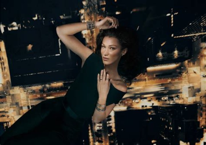 Bella Hadid's Sculpted Hips: A Guide To Her Signature Look
