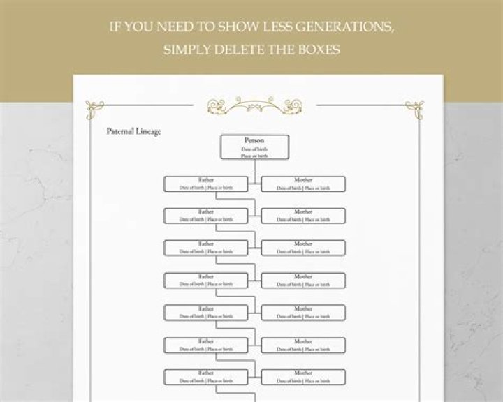 The Paternal Lineage Of Jao Felix: A Legacy Explored