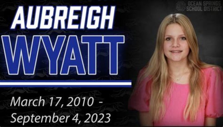 Understanding The Impact Of Aubreigh Wyatt Bullies
