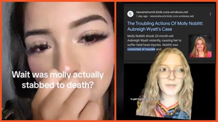 Unraveling The Molly Noblitt Arrest: A Deep Dive Into The Controversy